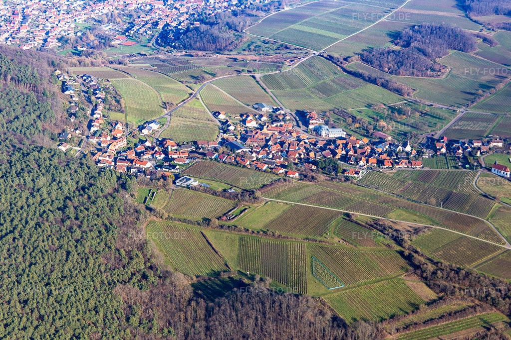 Luftbild: Weinort am Haardtrand von Südwesten im Ortsteil Gleiszellen in Gleiszellen-Gleishorbach im Bundesland Rheinland-Pfalz in Deutschland. Foto: IMG_145033.jpg vom 27.12.2024 durch Werner Riehm/FLY-FOTO.de