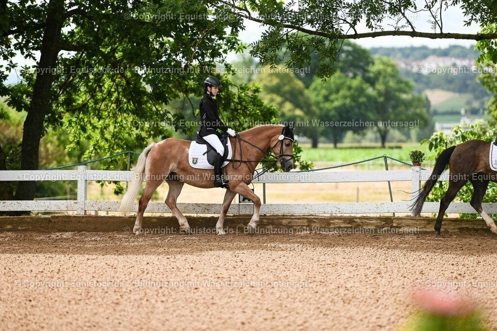 20230716_10-1_Reiter-WB Schritt - Trab - Galopp_0063 | equistock