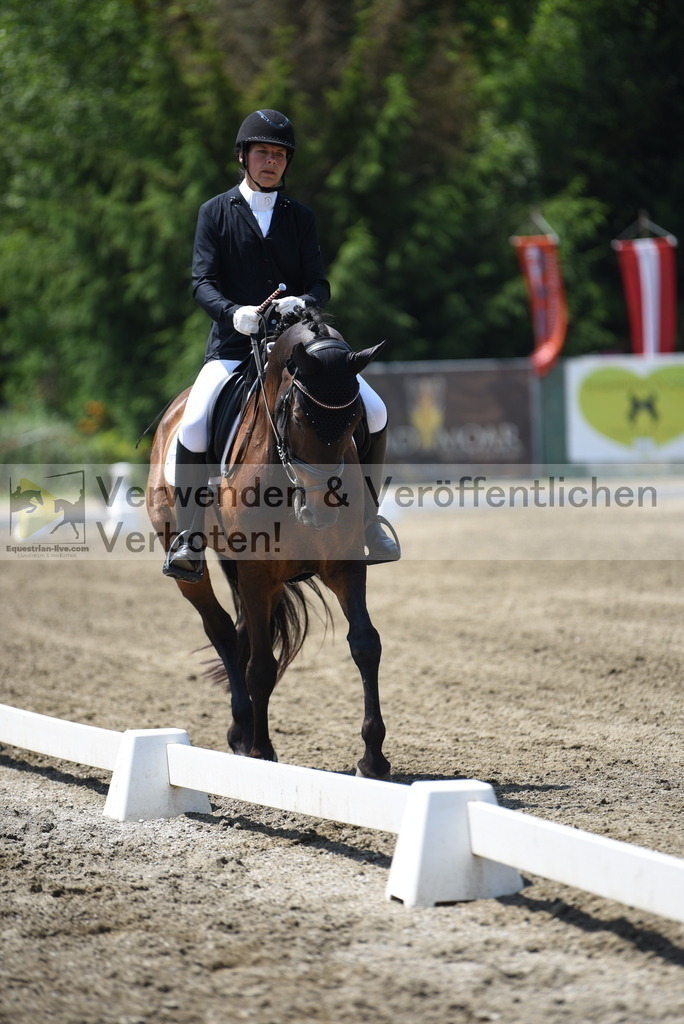 DSC_0157 | equestrian-live-com