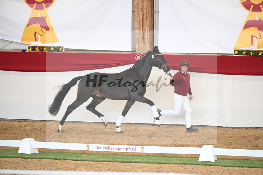 Kat.-Nr. 75 v. Santos_Greim_2250822 | hf-fotografie - Realisiert mit Pictrs.com