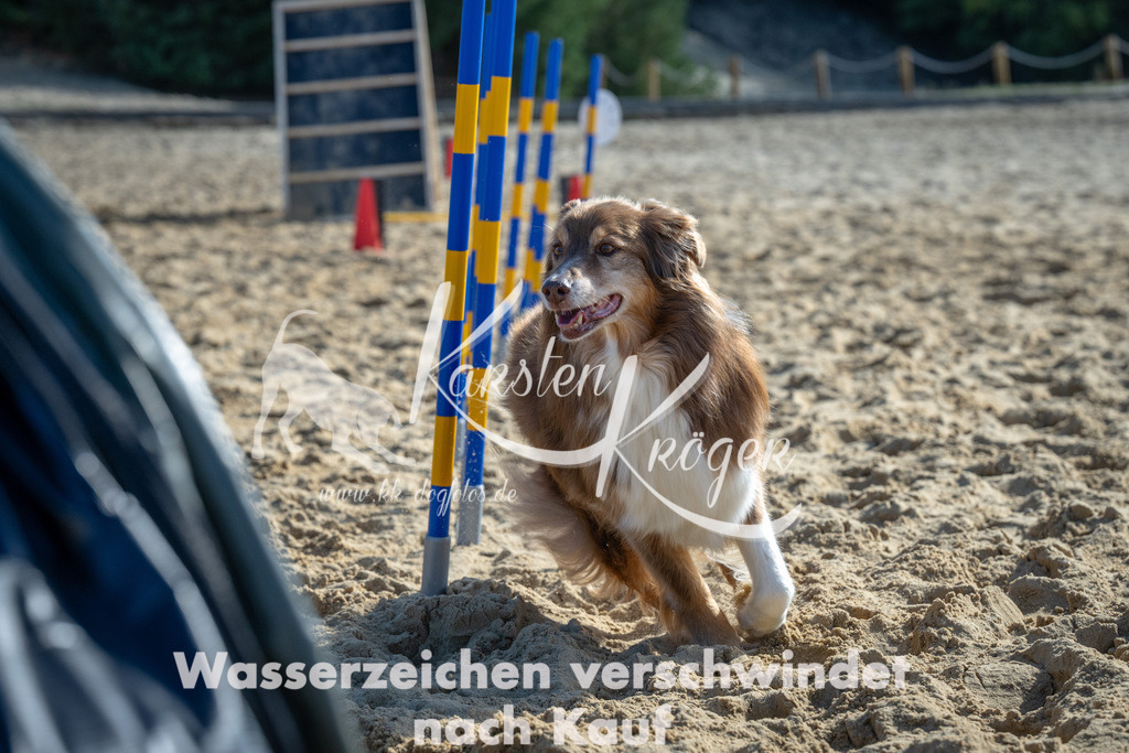 1213_ZZ92703-2 | kk-dogfotos