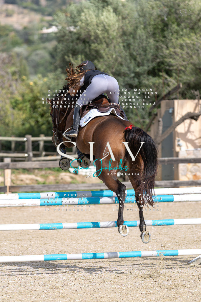 IMG_3225 | s-jay-photography - Realisiert mit Pictrs.com