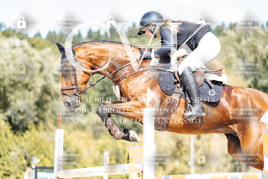 CK909053 | Turnierfotografie Pferdefotografie Trier Rheinland-Pfalz Pferdesport Reitsport Tierfotografie Sportfotografie Pferdevideo Pferdevideografie Equestrianvideography equestrianphotography  - Realisiert mit Pictrs.com