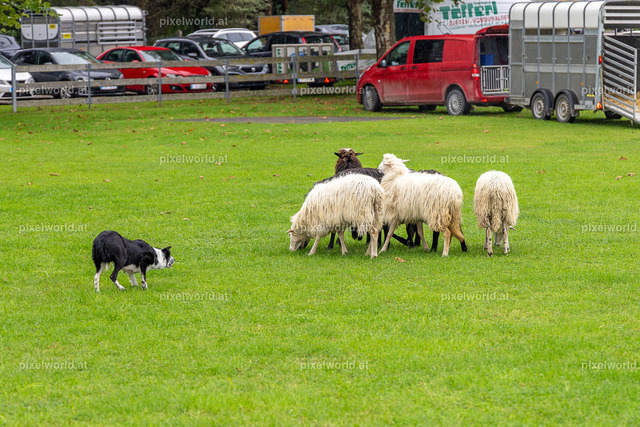 SchaZie-Tag Feldkirchen | Bildershop von pixelworld.at - Realisiert mit Pictrs.com