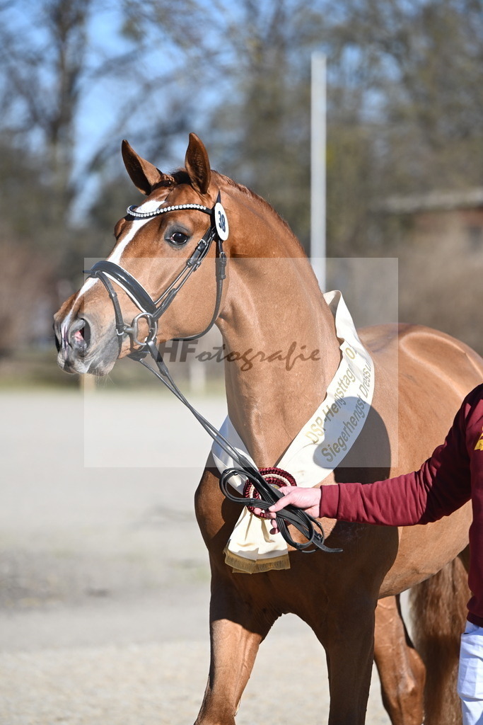 Kat.-Nr. 38 v. De Sandro_Schmid_2243349 | hf-fotografie - Realisiert mit Pictrs.com