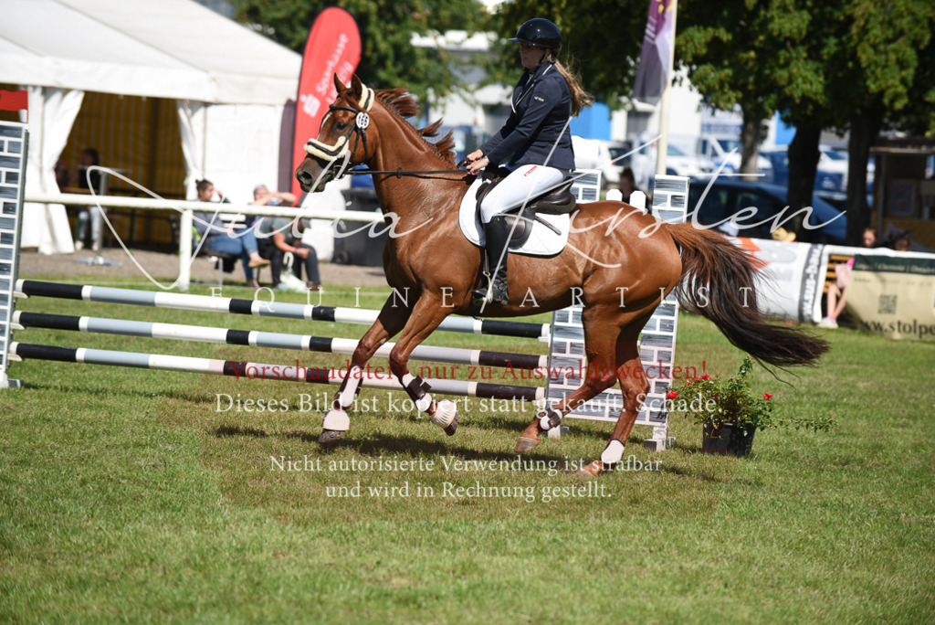 DSC_9341 | Pferde- und Turnierfotografie in Westsachsen. Pferdeportraits, Auftragszeichnungen und intuitive Kunst.