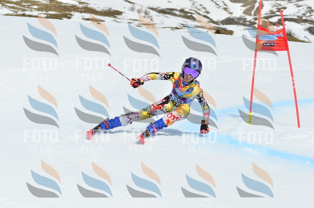 _ELE2270 | holidayphoto