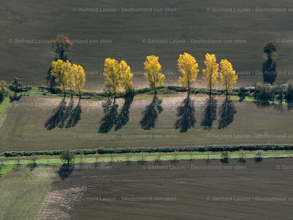 2550128 | Herbstbäume bei Neudenau