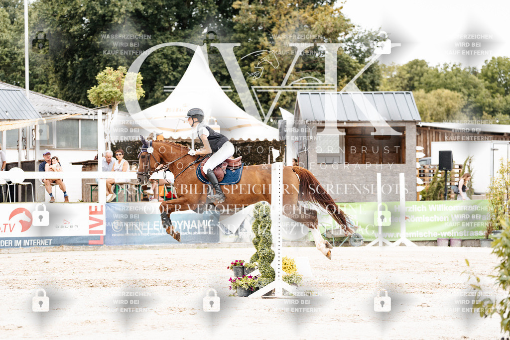 CK908148 | Turnierfotografie Pferdefotografie Trier Rheinland-Pfalz Pferdesport Reitsport Tierfotografie Sportfotografie Pferdevideo Pferdevideografie Equestrianvideography equestrianphotography  - Realisiert mit Pictrs.com