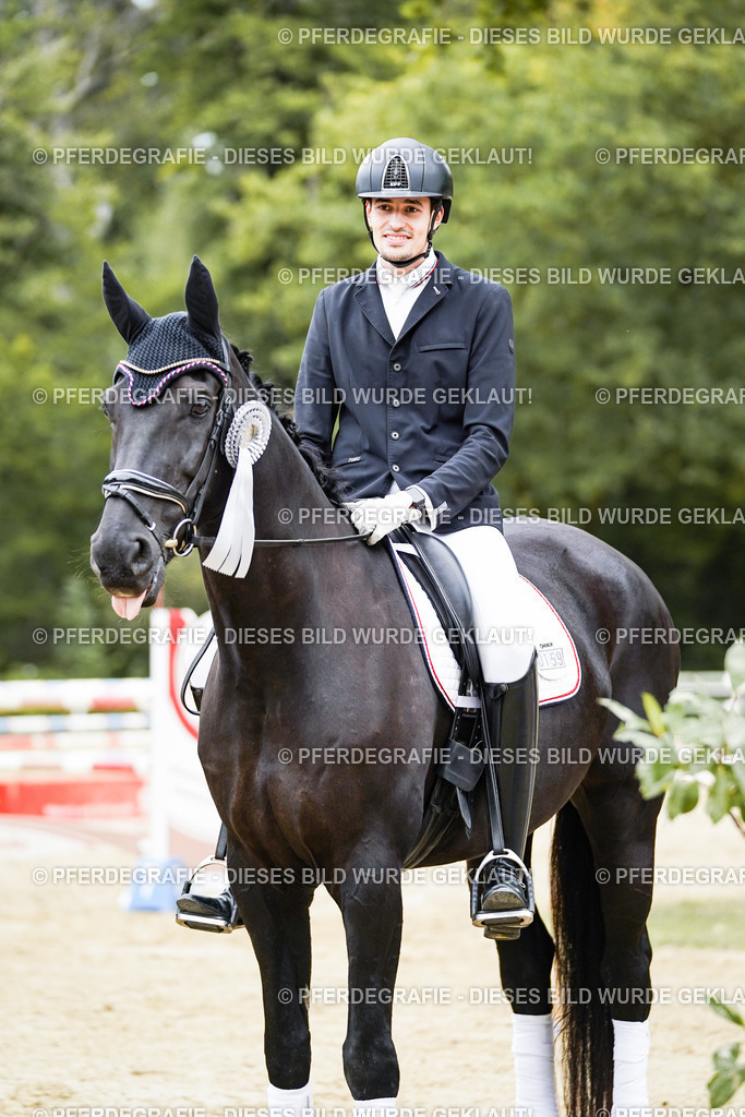 DSC02416 | Pferdegrafie