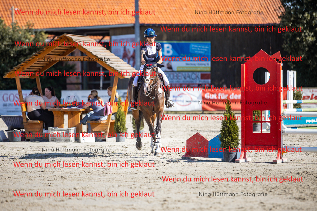 BK1A7264 | Turnierbilder Turnierfotos Nina Hüffmann Turnierfotografie Pferdefotografie Tierzeichnung Haustierzeichnung Pferdezeichnung Hundezeichnung Videograf  - Realisiert mit Pictrs.com