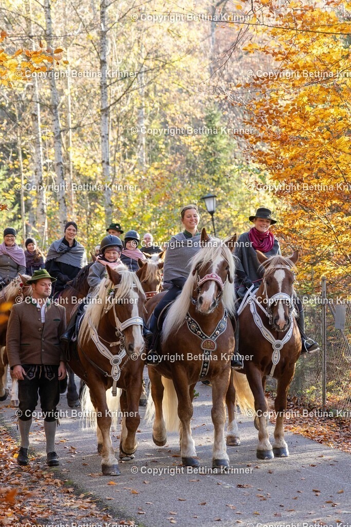 LL24-306 | foto-bettina-krinner - Realisiert mit Pictrs.com