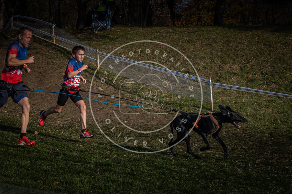 CaniXpix_0L8A8278 | Hundefotografie, Tierfotograf, Pfotenfotografie, Fotoshooting Hund, Hunde Portrait, Hundesport, Hundeportraits, Heideshooting, Hunde, Sportfotograf, Hundefotograf, Turnierhundsport, THS,  - Realisiert mit Pictrs.com