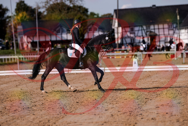 2026_10_03_Siefer-Hof_115614_Z81_96451787 | Professionelle Reitsport-, Turnier- und Eventfotografie von Robert Broda. Galerien mit ausgewählten und bearbeiteten Bildern direkt online ansehen und bestellen.
