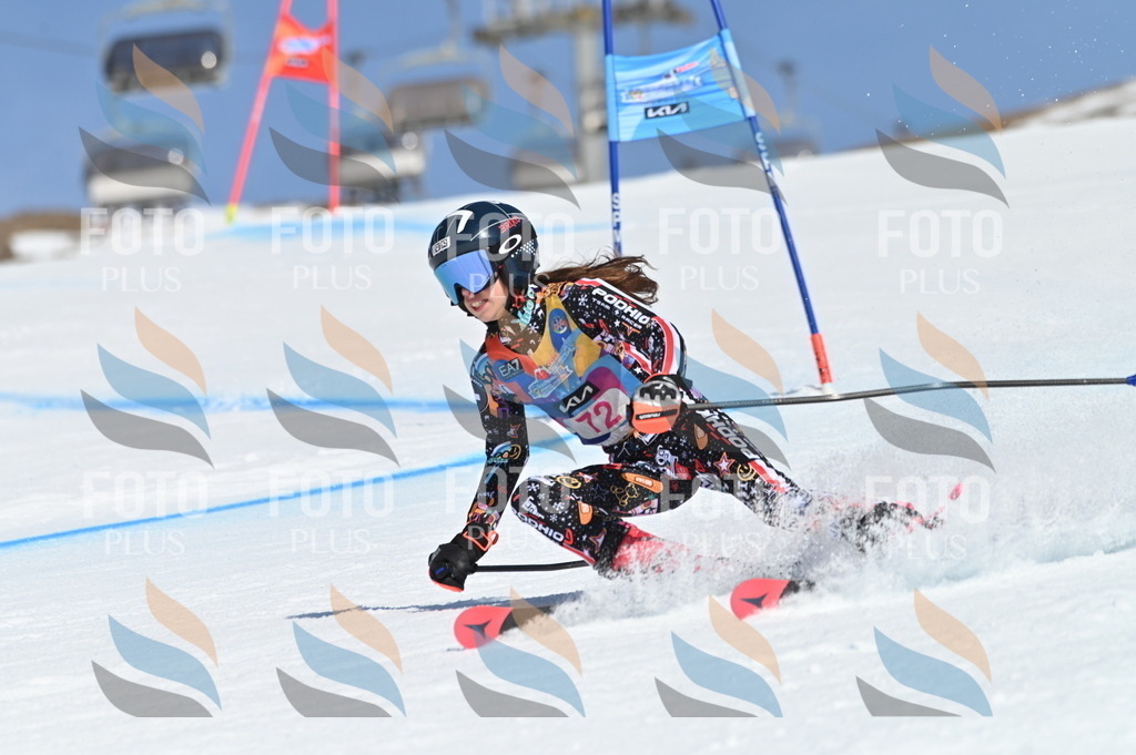 BGV_8949 | holidayphoto