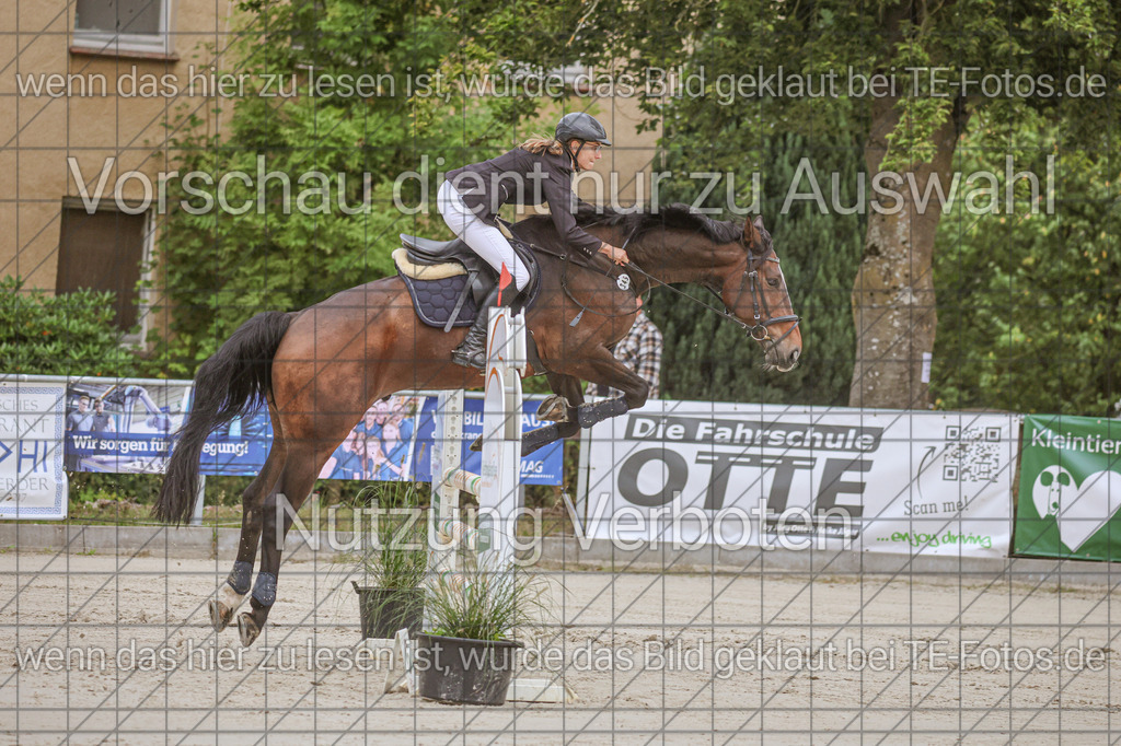 2025-09-22_09-37-08_MG_3951 | TE-Fotos