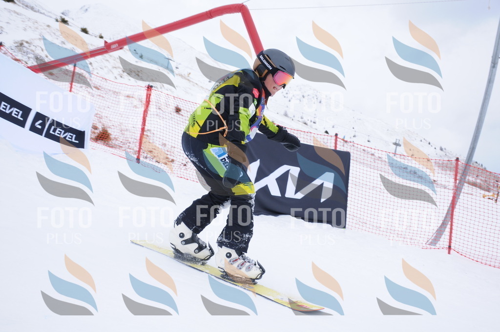 DSC_0029 | holidayphoto