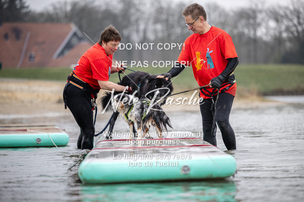 nelerasche_Hulsbeek_Sa1130-1230_85 | nelerasche