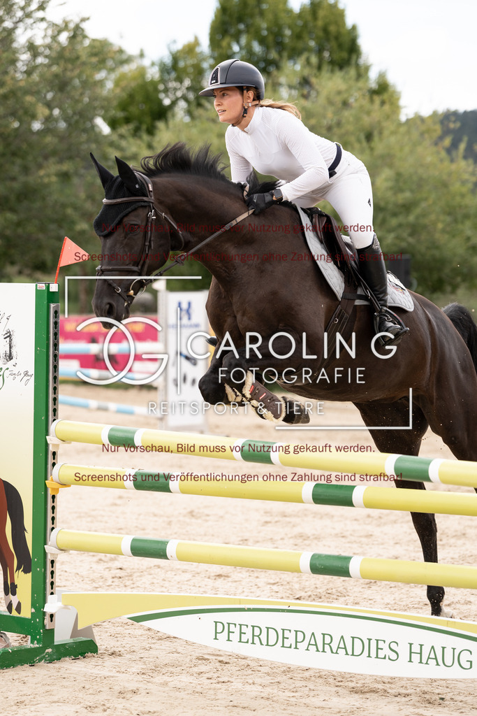 DSC06555 | Springturnier_Teamchallege_Talheim_2026, Jennifer_Strohm, Evita_JS