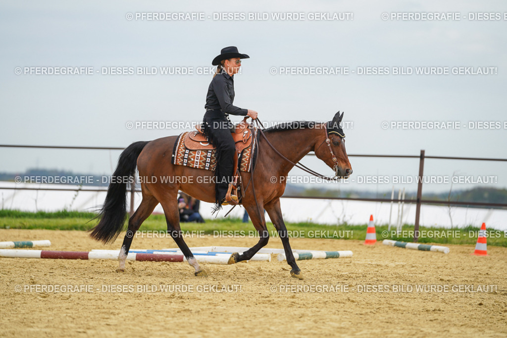 DSC02974 | Pferdegrafie