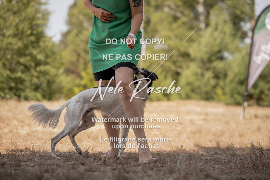 nelerasche_soDD2_426 | nelerasche