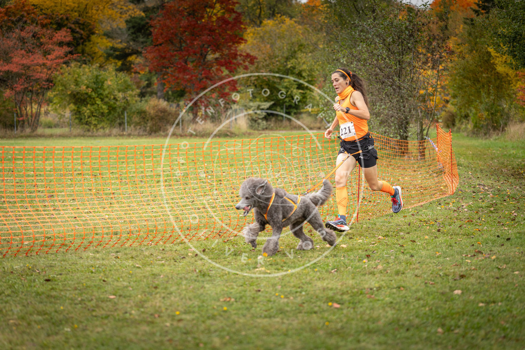 Pfotenfotografie_DV3A4815 | Hundefotografie, Tierfotograf, Pfotenfotografie, Fotoshooting Hund, Hunde Portrait, Hundesport, Hundeportraits, Heideshooting, Hunde, Sportfotograf, Hundefotograf, Turnierhundsport, THS,  - Realisiert mit Pictrs.com