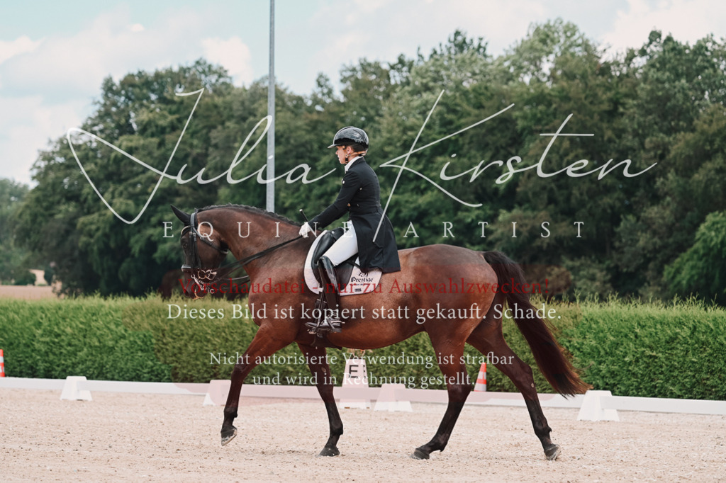 DSC_4162 | Pferde- und Turnierfotografie in Westsachsen. Pferdeportraits, Auftragszeichnungen und intuitive Kunst.