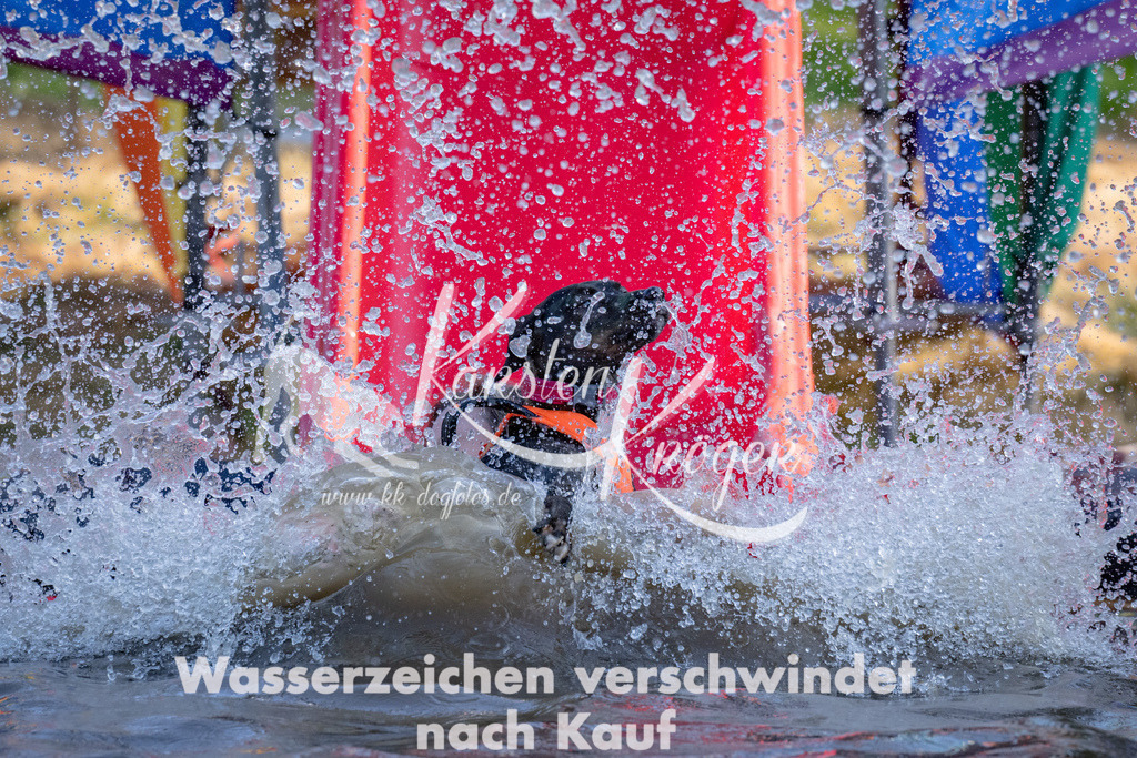 1803_ZZ90313 | kk-dogfotos