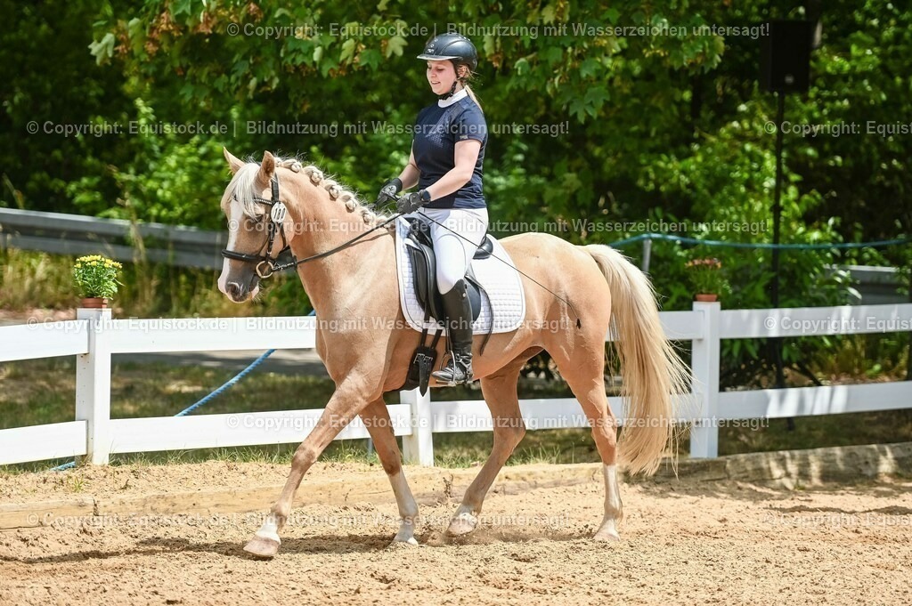 20230715_09_Dressur-WB_0524 | equistock
