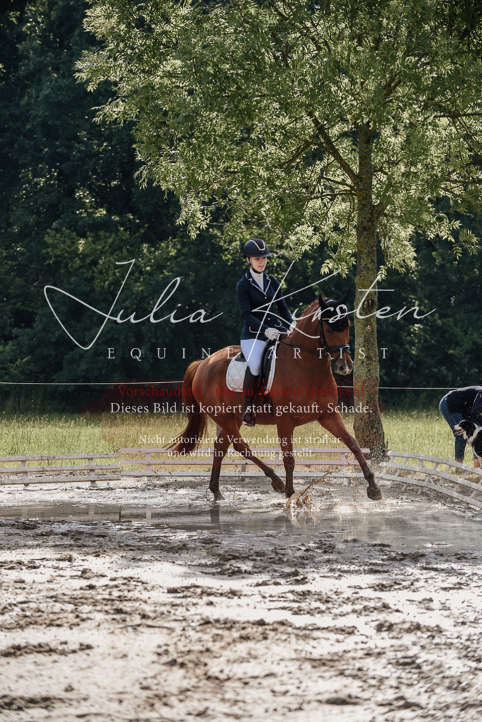 DSC_8838 | Pferde- und Turnierfotografie in Westsachsen. Pferdeportraits, Auftragszeichnungen und intuitive Kunst.