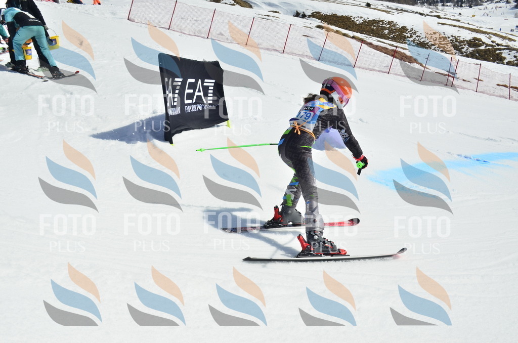 _ELE1207 | holidayphoto