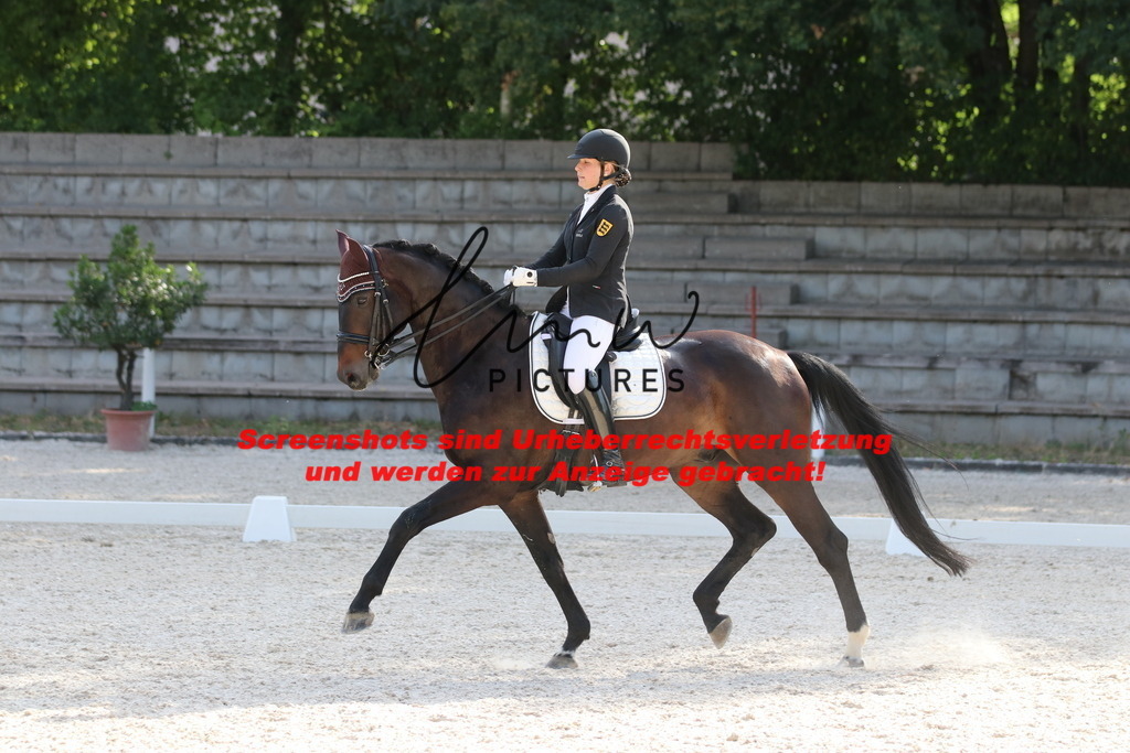 IMG_5818 | lmwpictures - Realisiert mit Pictrs.com