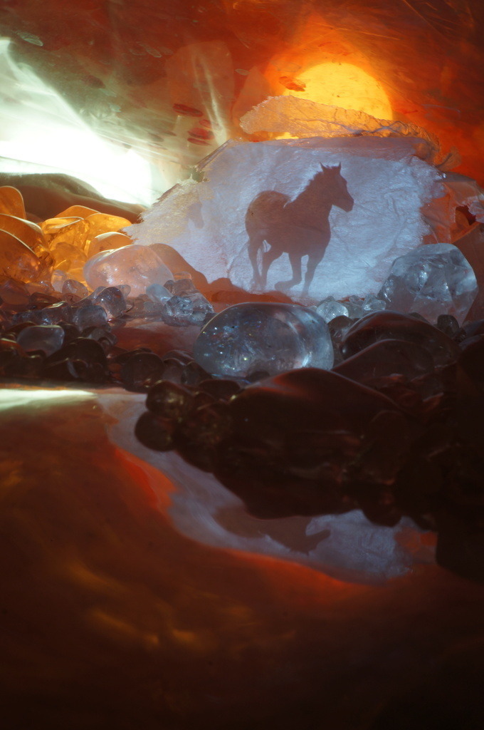 Pferd | cornelia-geissler - Realisiert mit Pictrs.com