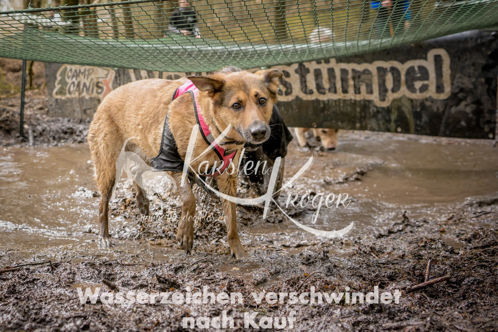 1048_ZZ92090 | kk-dogfotos