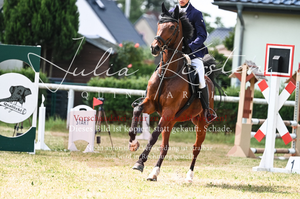 DSC_8945 | Pferde- und Turnierfotografie in Westsachsen. Pferdeportraits, Auftragszeichnungen und intuitive Kunst.