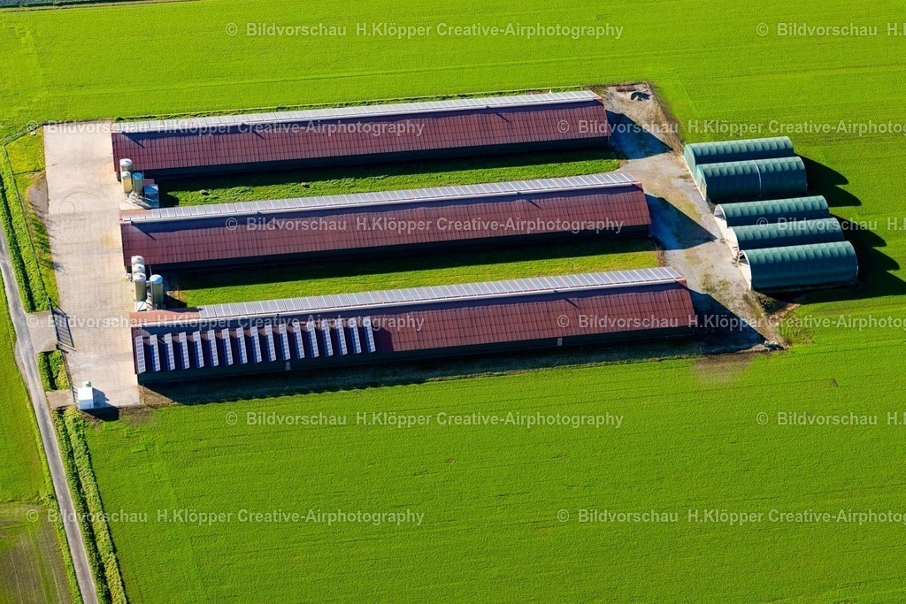 Luftbilder Straelen-7550 |  Luftbild  Tierzucht- Stallanlagen zur Geflügelzucht in Straelen im Bundesland Nordrhein-Westfalen, Deutschland - Realisiert mit Pictrs.com
