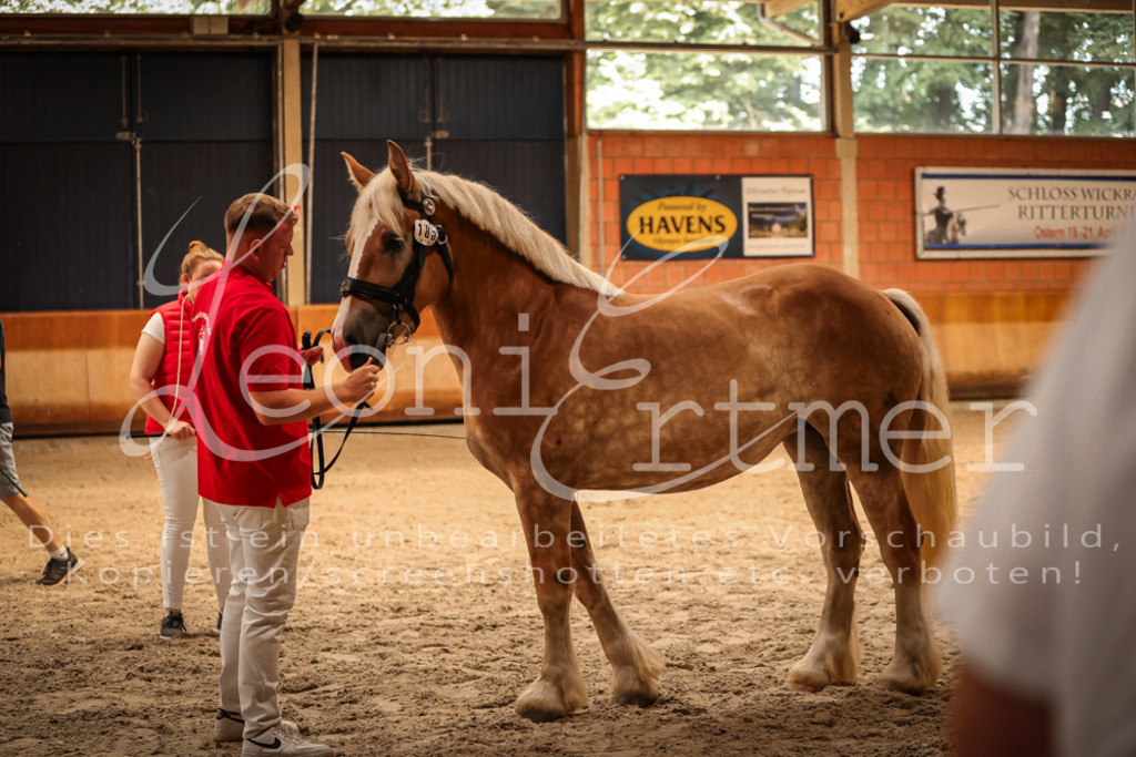 SaFL00120 | Leoni Ertmer Photography - Realisiert mit Pictrs.com