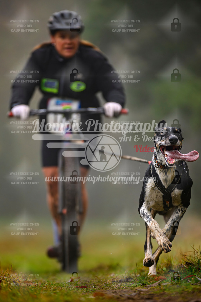 MompixPhotography_Bischwiller2025_Scooter-56 | mompixphotography