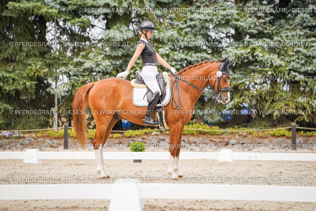 DSC07896 | Pferdegrafie