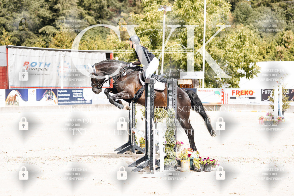CK906647 | Turnierfotografie Pferdefotografie Trier Rheinland-Pfalz Pferdesport Reitsport Tierfotografie Sportfotografie Pferdevideo Pferdevideografie Equestrianvideography equestrianphotography  - Realisiert mit Pictrs.com