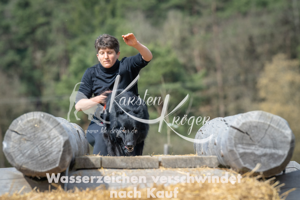 1154_ZZ98500 | kk-dogfotos