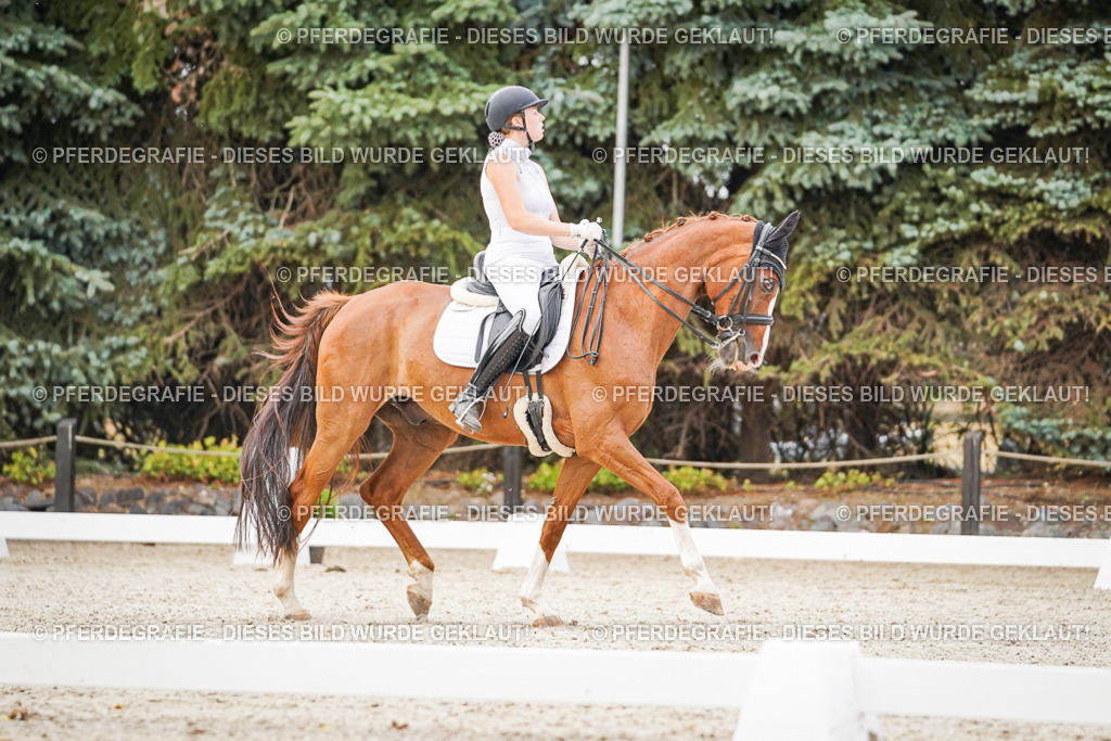 DSC08585 | Pferdegrafie