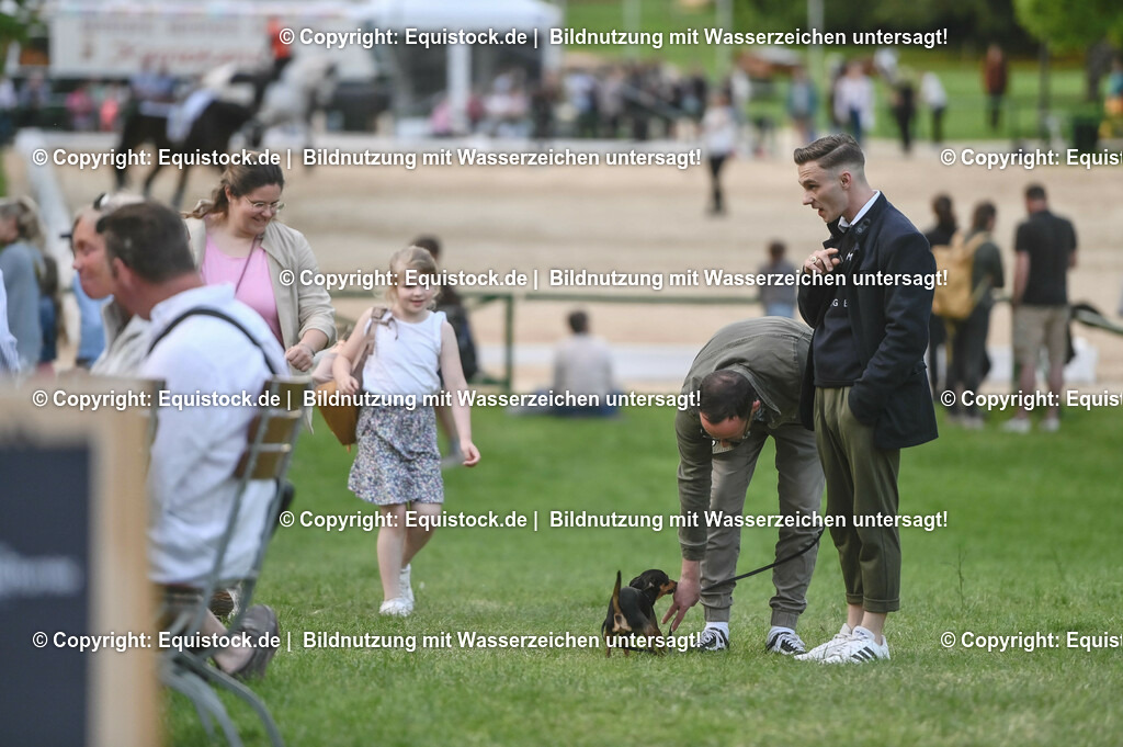 D78_3367 | equistock