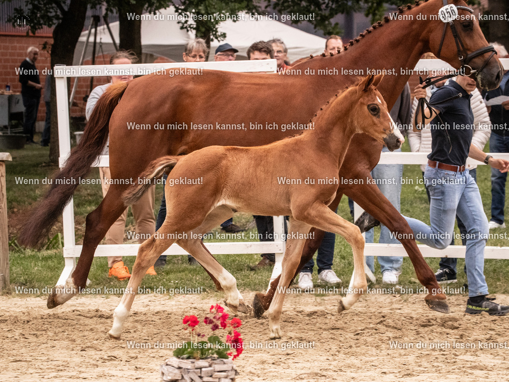 A10I5695 | photographylinaismer - Realisiert mit Pictrs.com