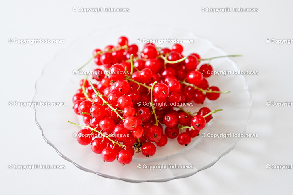 Erdbeeren_ Himbeeren_ Ribisel_ Mayer_ 20.06.2023-35 | 20.06.2023, Raffelding, AUT, Erdbeeren, Himbeeren, Ribisel, Mayer, im Bild Ribisel