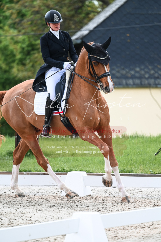 20230514_JK-Röhrsdorf-20-080 | Pferde- und Turnierfotografie in Westsachsen. Pferdeportraits, Auftragszeichnungen und intuitive Kunst.
