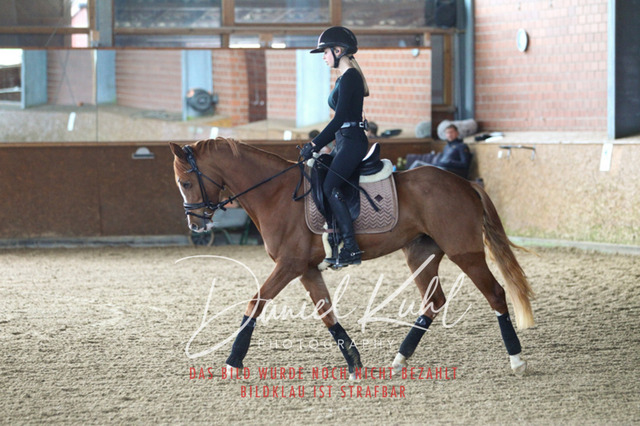 DKP42592 | Turniersportfotografie; Pferdefotografie; Dressurfotografie