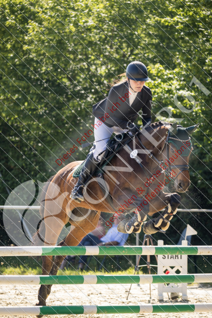 IMG_2766 | Sport-, Event- und Tierfotos in Profiqualität. Einfach auswählen, bestellen und herunterladen. Dein Moment – perfekt festgehalten.