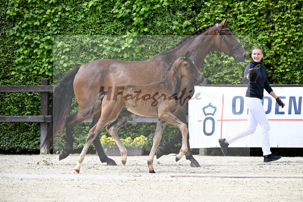 Kat-Nr. 4 Bonhoeffer x Danone_Zweckl_25240206 | hf-fotografie - Realisiert mit Pictrs.com