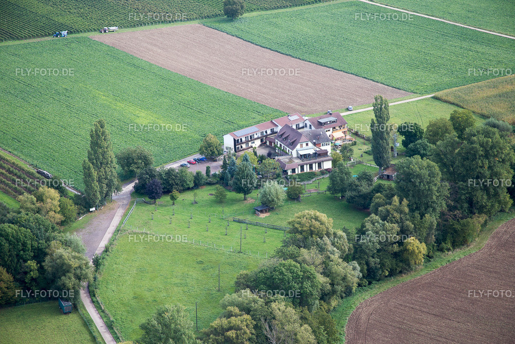 Mühlengrund | Luftbild: Mühlengrund im Ortsteil Heuchelheim in Heuchelheim-Klingen im Bundesland Rheinland-Pfalz in Deutschland. Foto: IMG_072698.jpg vom 19.09.2014 durch Werner Riehm/FLY-FOTO.de - Realisiert mit Pictrs.com